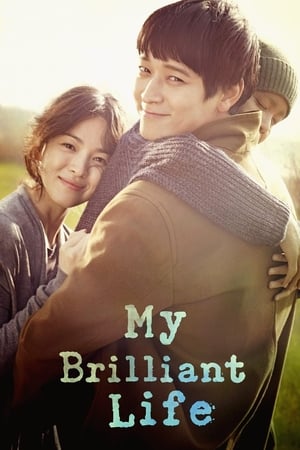 My Brilliant Life (2014) Hindi Dual Audio HDRip 1080p – 720p – 480p